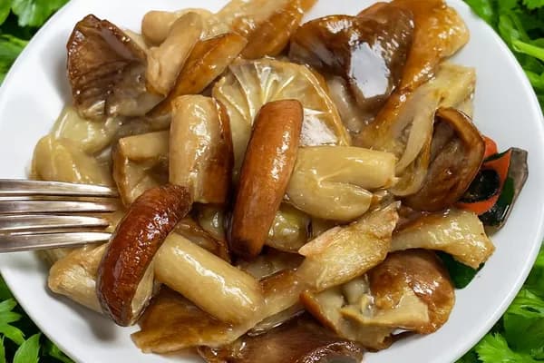 Солоні рядовки